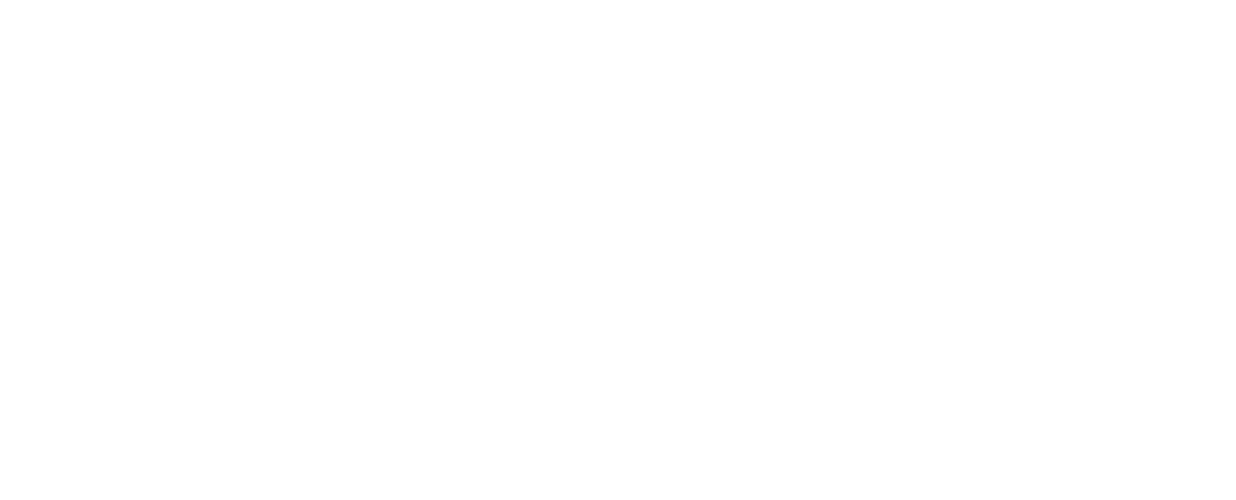 smartmatch white logo